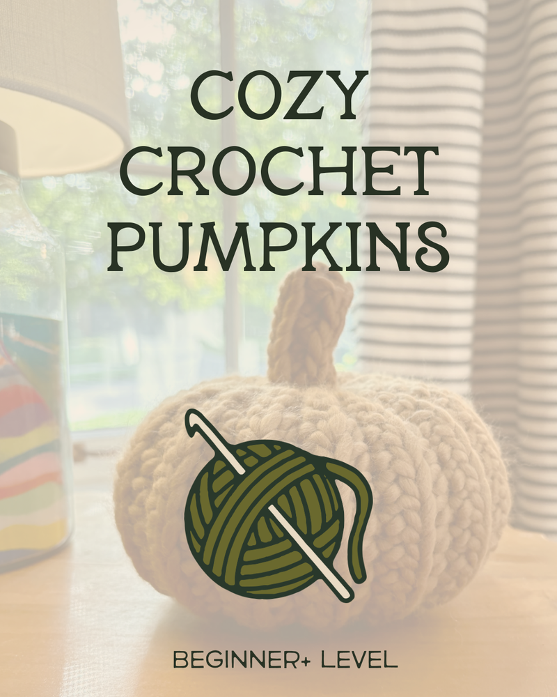 Load image into Gallery viewer, Cozy Crochet Pumpkins