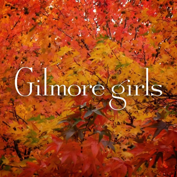 Load image into Gallery viewer, Gilmore Girls Day: No Cell Phones Cross Stitch Canvas