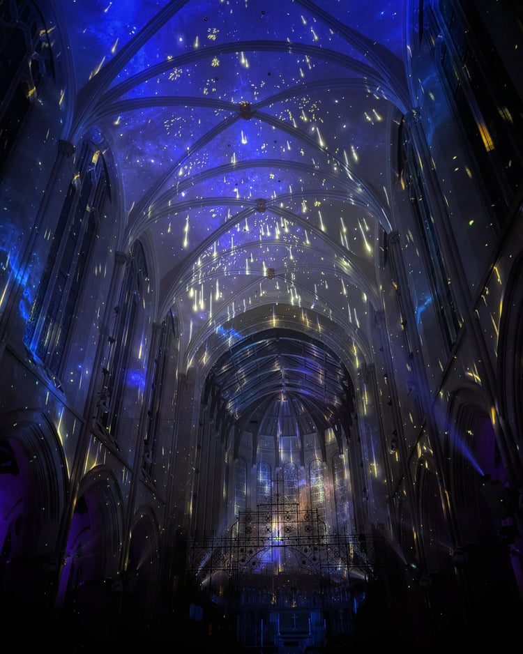 The Dreamer's Gala