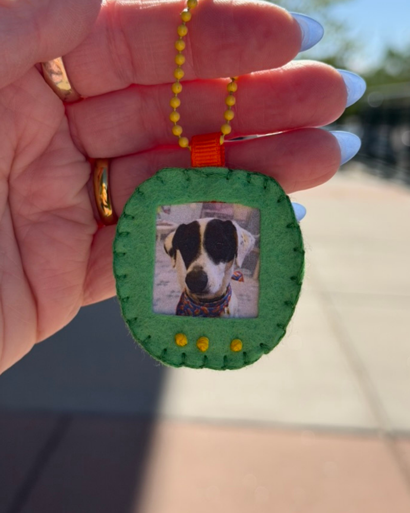 Load image into Gallery viewer, Personal Pocket Pet Tamagotchi Keychain
